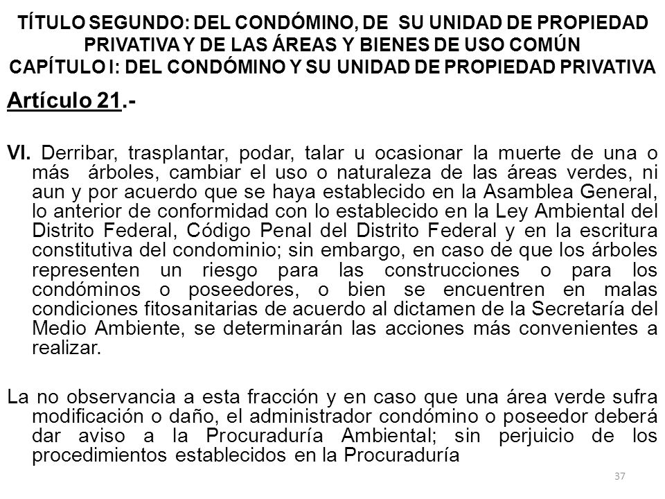 TÍTULO SEGUNDO: DEL CONDÓMINO, DE SU UNIDAD DE PROPIEDAD PRIVATIVA Y DE LAS ÁREAS Y BIENES DE USO COMÚN CAPÍTULO I: DEL CONDÓMINO Y SU UNIDAD DE PROPIEDAD PRIVATIVA
