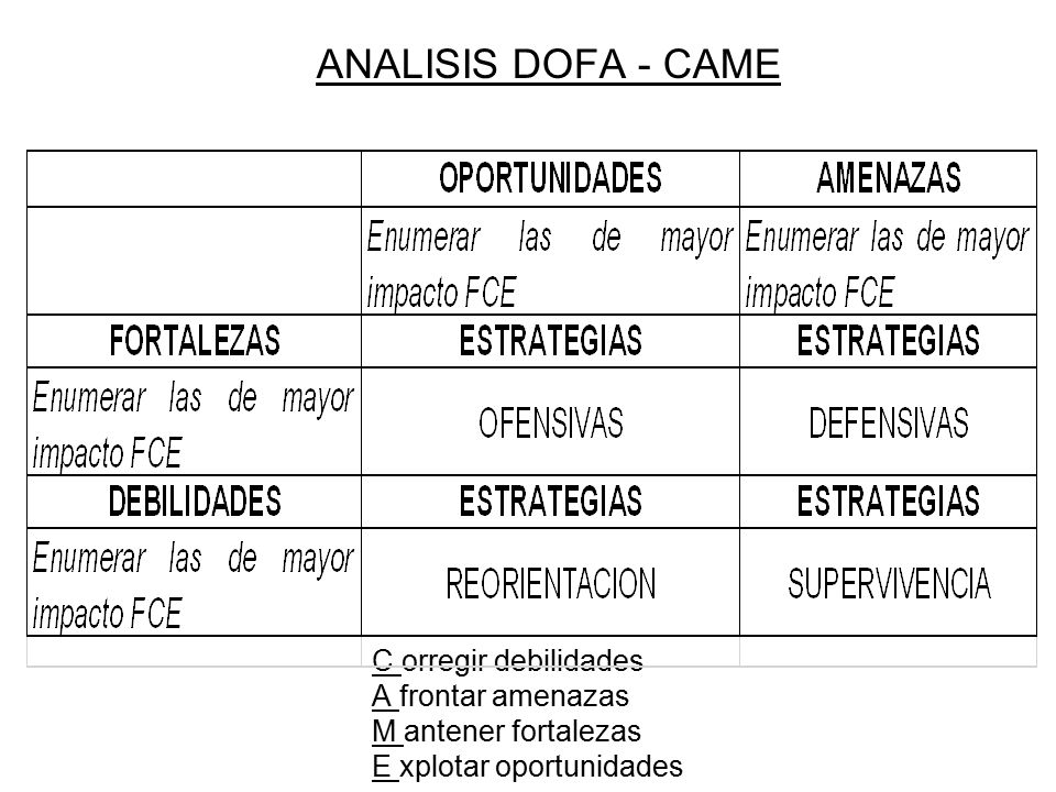 ANALISIS DOFA - CAME C orregir debilidades A frontar amenazas M antener fortalezas E xplotar oportunidades.