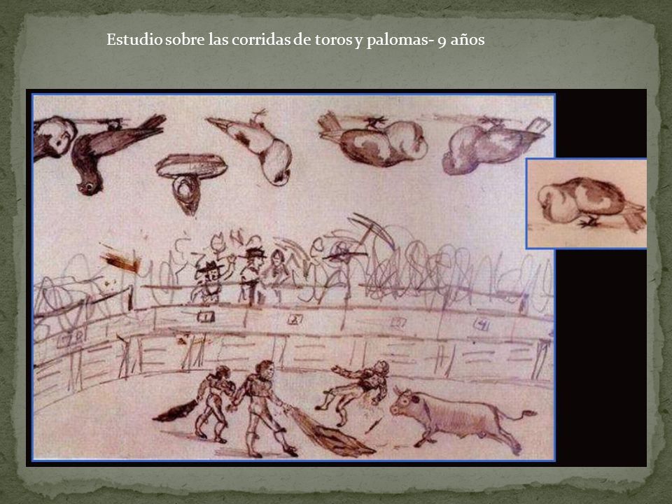 Estudio sobre las corridas de toros y palomas- 9 años
