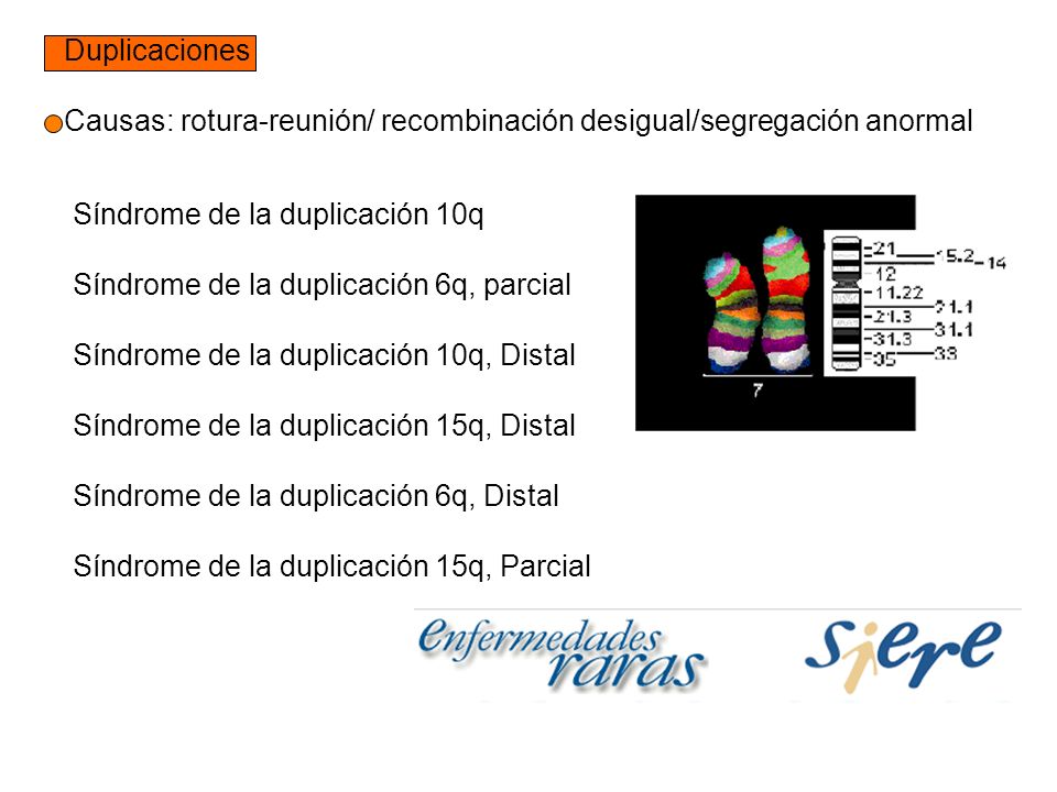 Duplicaciones Causas: rotura-reunión/ recombinación desigual/segregación anormal. Síndrome de la duplicación 10q.