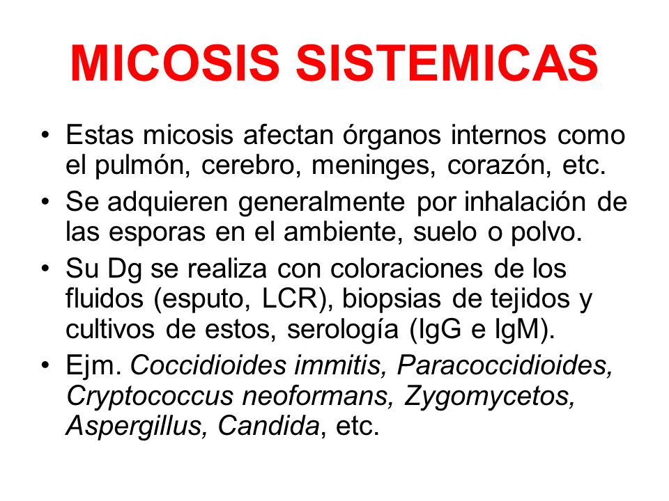 MICOSIS SISTEMICAS Estas micosis afectan órganos internos como el pulmón, cerebro, meninges, corazón, etc.