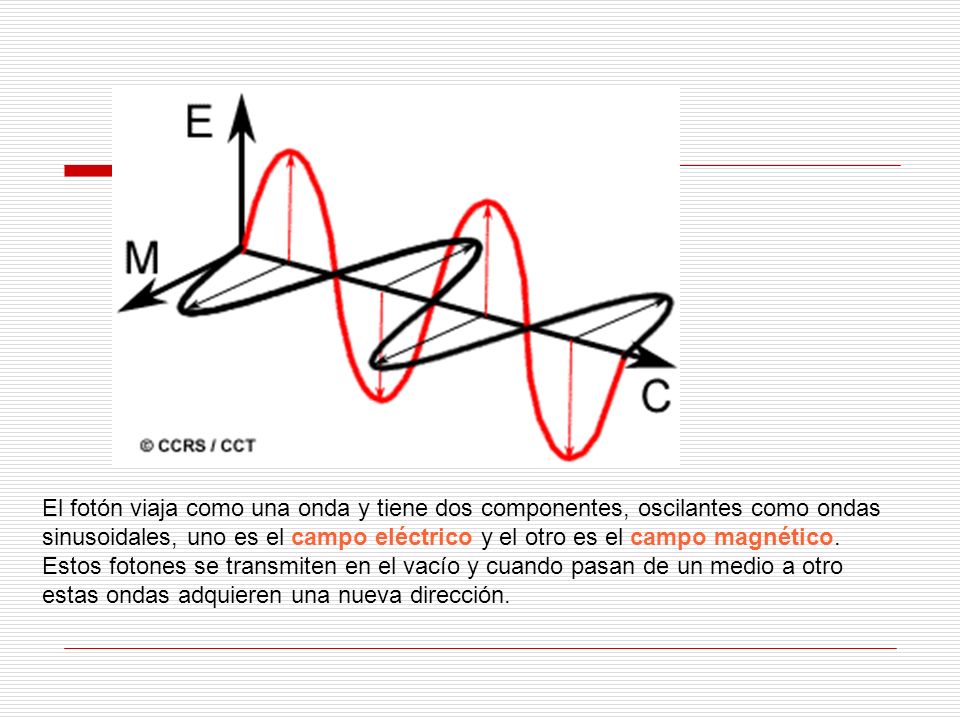 El fotón viaja como una onda y tiene dos componentes, oscilantes como ondas sinusoidales, uno es el campo eléctrico y el otro es el campo magnético.