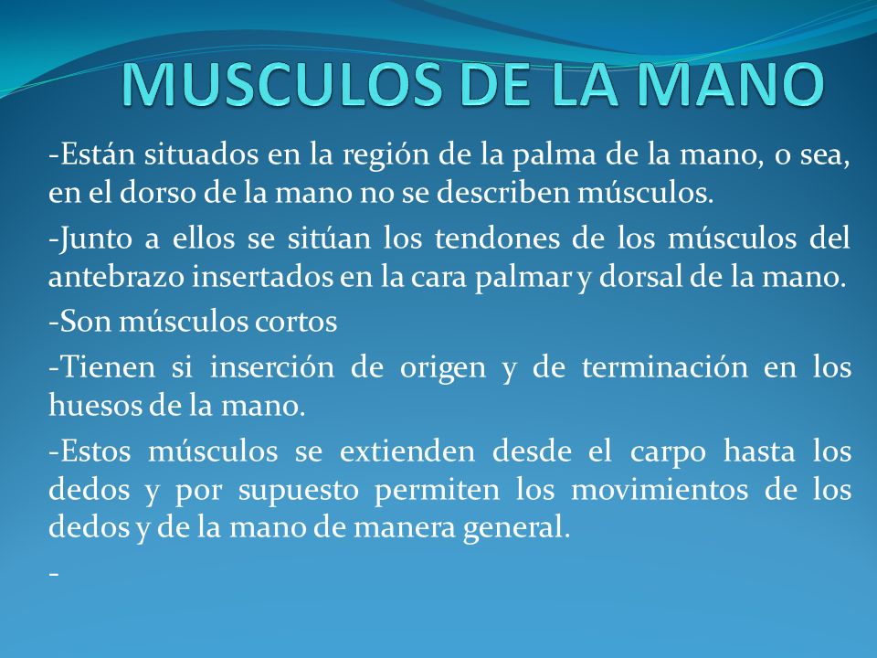 MUSCULOS DE LA MANO -Están situados en la región de la palma de la mano, o sea, en el dorso de la mano no se describen músculos.