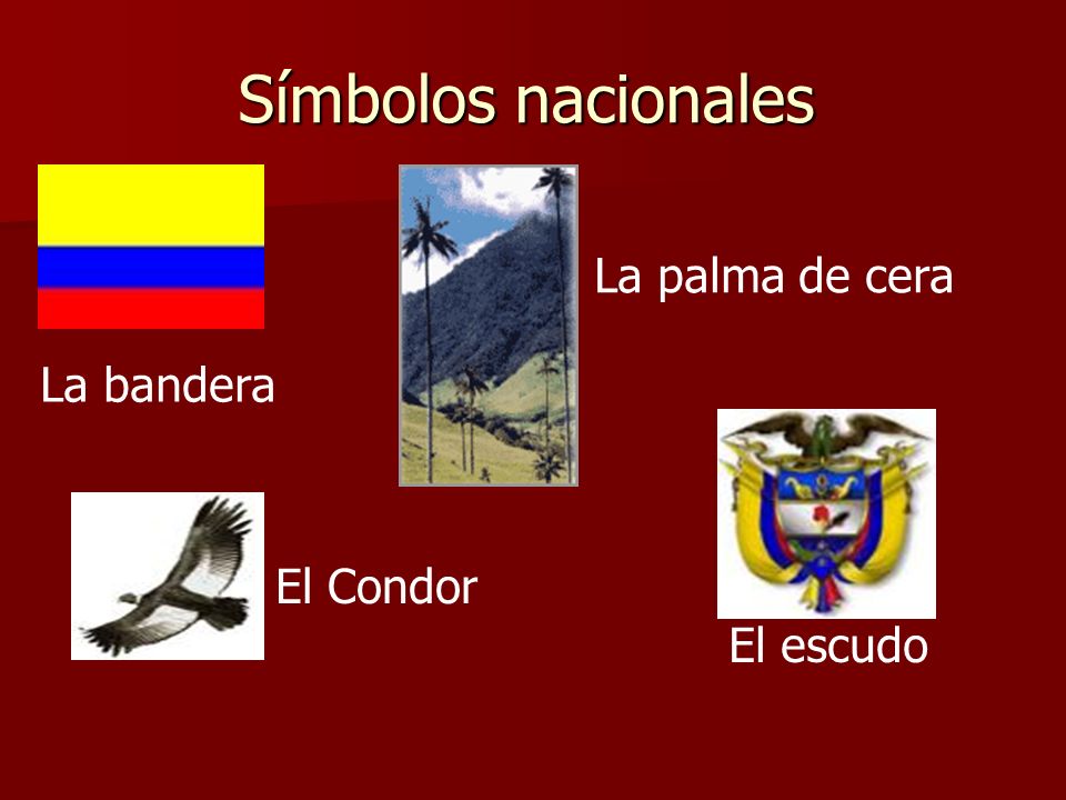 Símbolos nacionales La palma de cera La bandera El Condor El escudo
