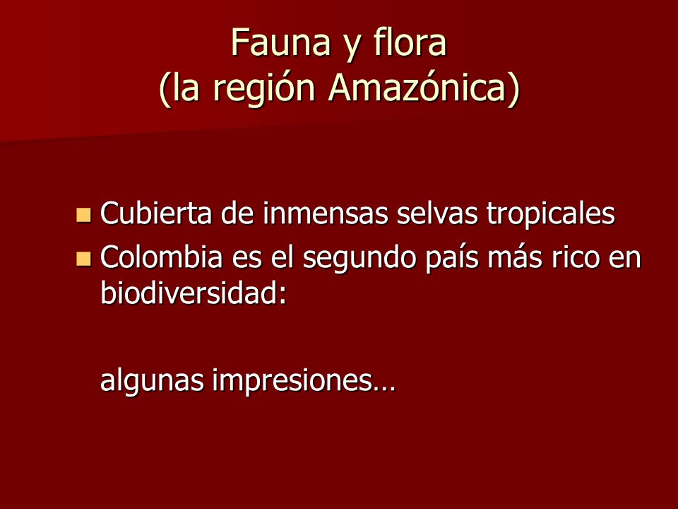 Fauna y flora (la región Amazónica)