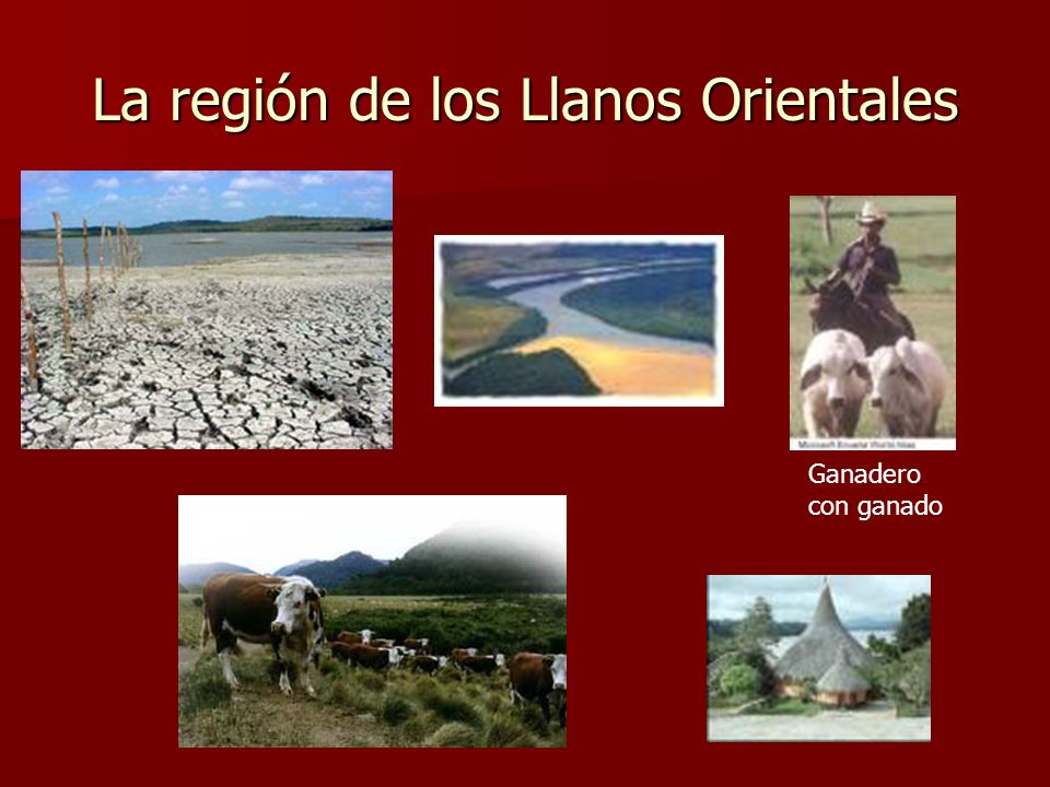 La región de los Llanos Orientales