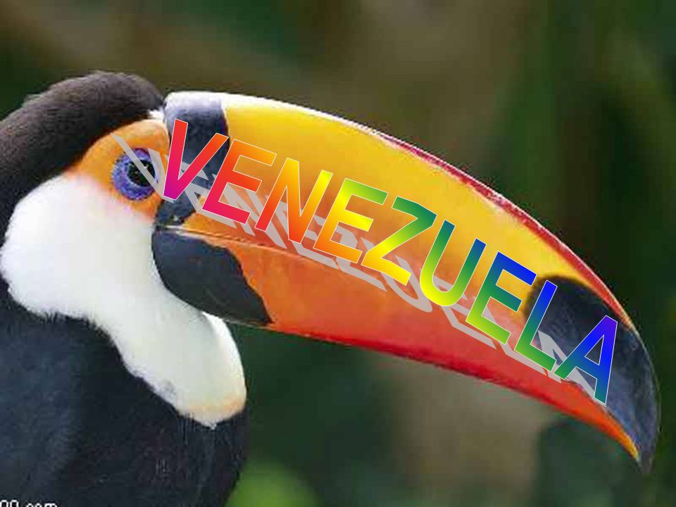 VENEZUELA