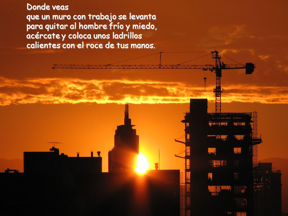 Donde veas que un muro con trabajo se levanta para quitar al hombre frío y miedo, acércate y coloca unos ladrillos calientes con el roce de tus manos.