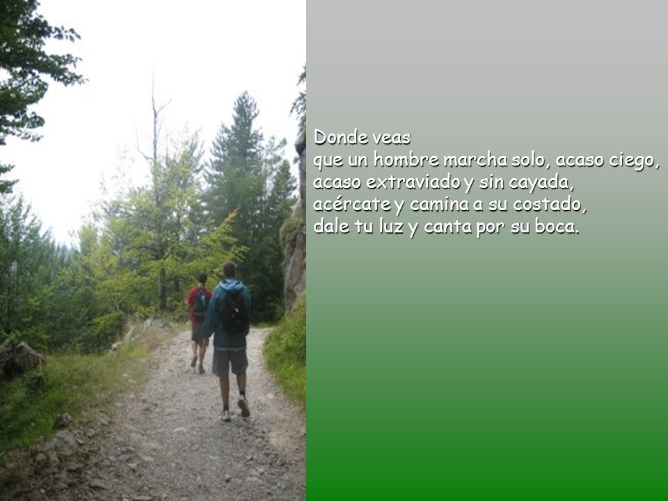 Donde veas que un hombre marcha solo, acaso ciego, acaso extraviado y sin cayada, acércate y camina a su costado, dale tu luz y canta por su boca.