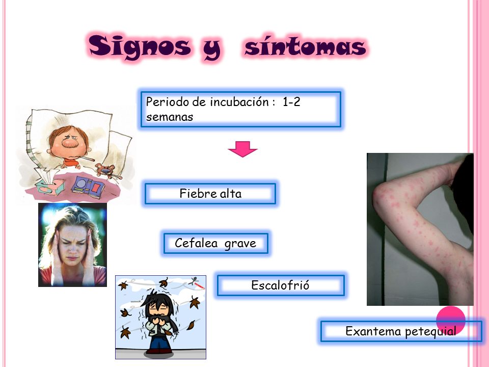 Signos y síntomas Periodo de incubación : 1-2 semanas Fiebre alta