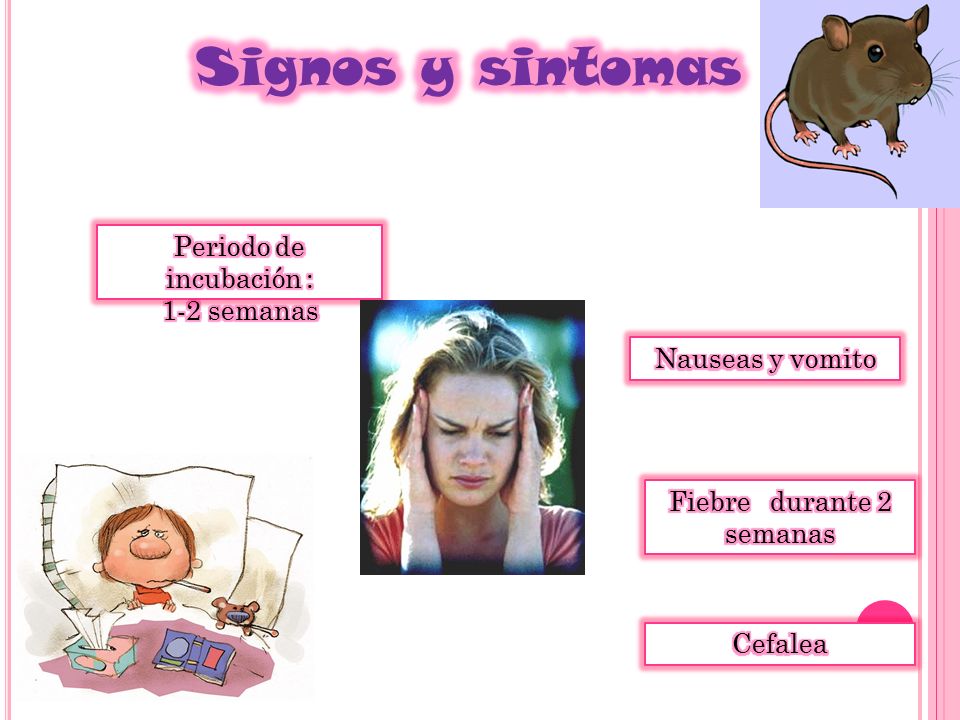 Signos y sintomas Periodo de incubación : 1-2 semanas Nauseas y vomito