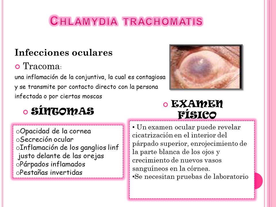 Chlamydia trachomatis