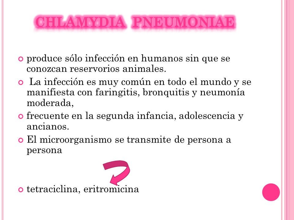 Chlamydia pneumoniae produce sólo infección en humanos sin que se conozcan reservorios animales.