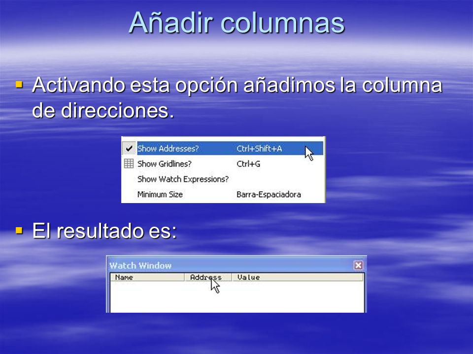 Añadir columnas Activando esta opción añadimos la columna de direcciones. El resultado es: