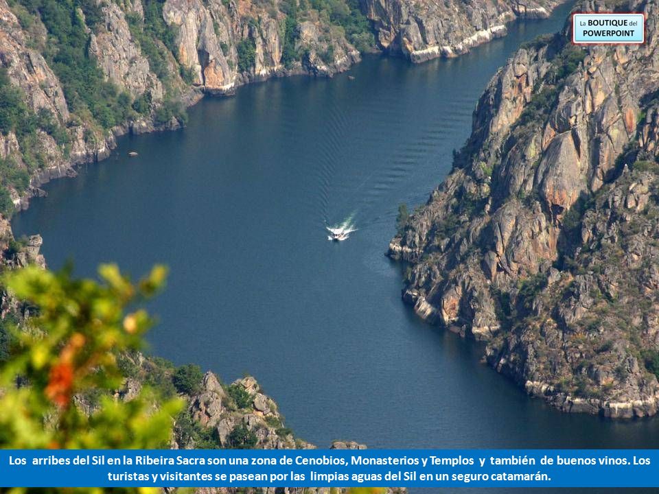 Los arribes del Sil en la Ribeira Sacra son una zona de Cenobios, Monasterios y Templos y también de buenos vinos.