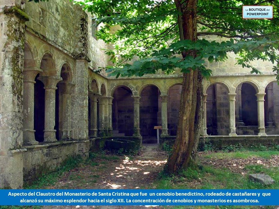 Aspecto del Claustro del Monasterio de Santa Cristina que fue un cenobio benedictino, rodeado de castañares y que alcanzó su máximo esplendor hacia el siglo XII.