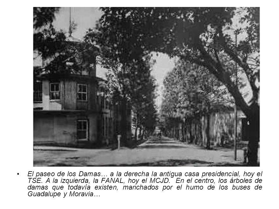 El paseo de los Damas… a la derecha la antigua casa presidencial, hoy el TSE.