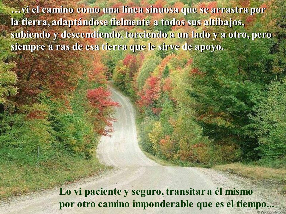 …vi el camino como una línea sinuosa que se arrastra por la tierra, adaptándose fielmente a todos sus altibajos, subiendo y descendiendo, torciendo a un lado y a otro, pero siempre a ras de esa tierra que le sirve de apoyo.