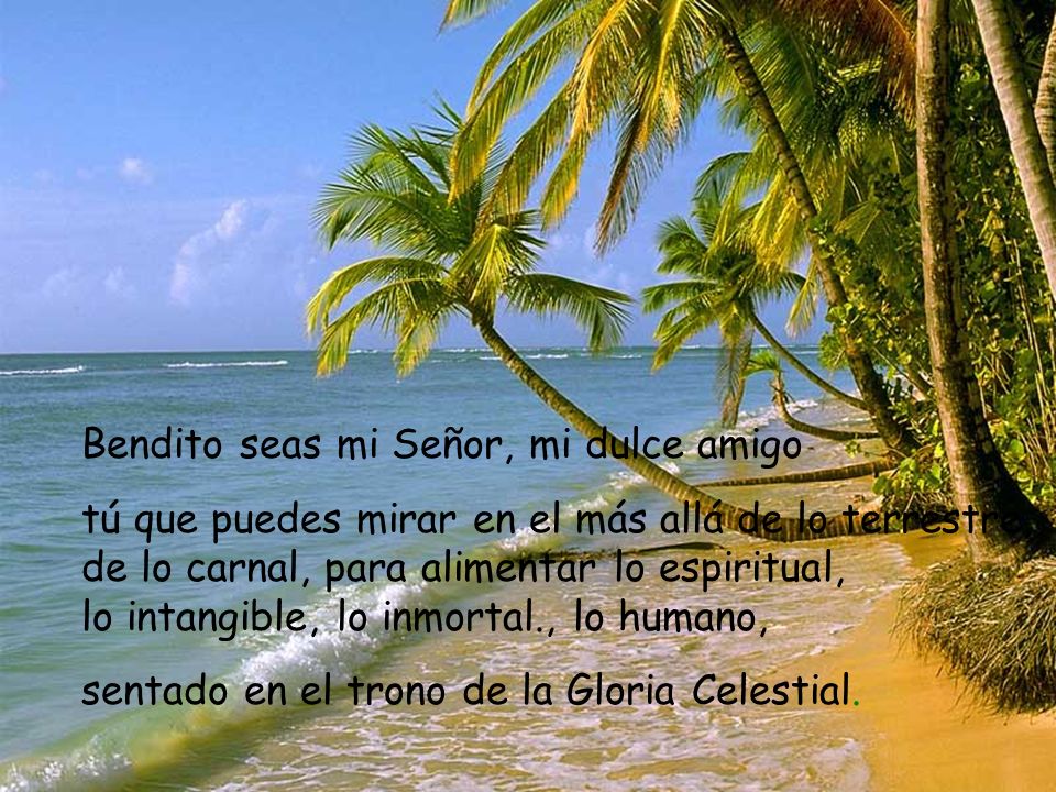 Bendito seas mi Señor, mi dulce amigo