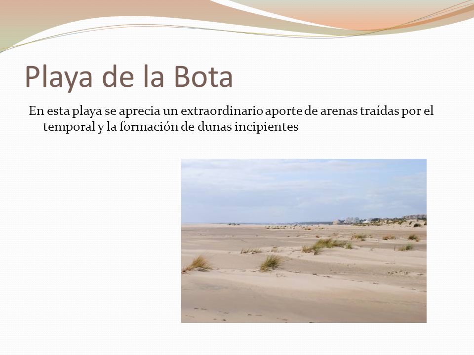 Playa de la Bota En esta playa se aprecia un extraordinario aporte de arenas traídas por el temporal y la formación de dunas incipientes.