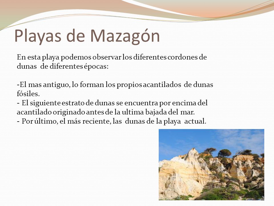 Playas de Mazagón En esta playa podemos observar los diferentes cordones de dunas de diferentes épocas: