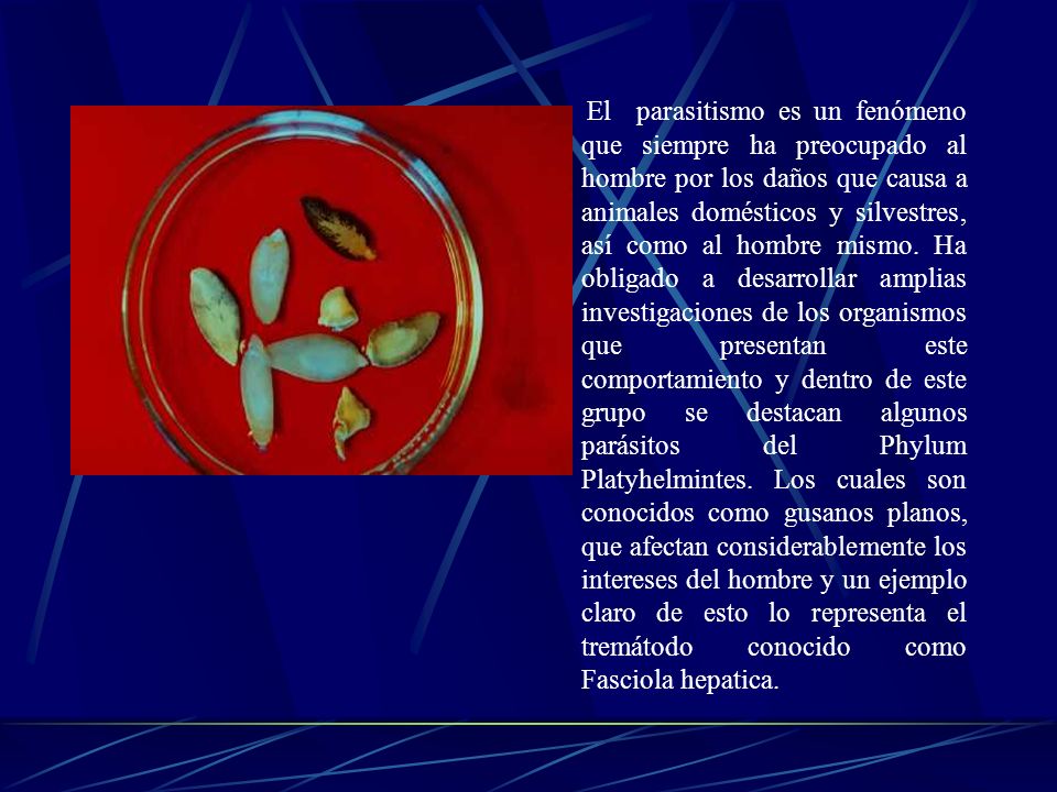 El parasitismo es un fenómeno que siempre ha preocupado al hombre por los daños que causa a animales domésticos y silvestres, así como al hombre mismo.