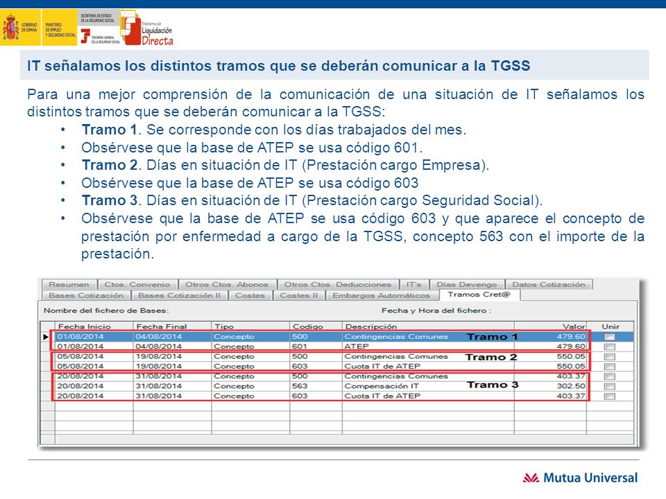 IT señalamos los distintos tramos que se deberán comunicar a la TGSS