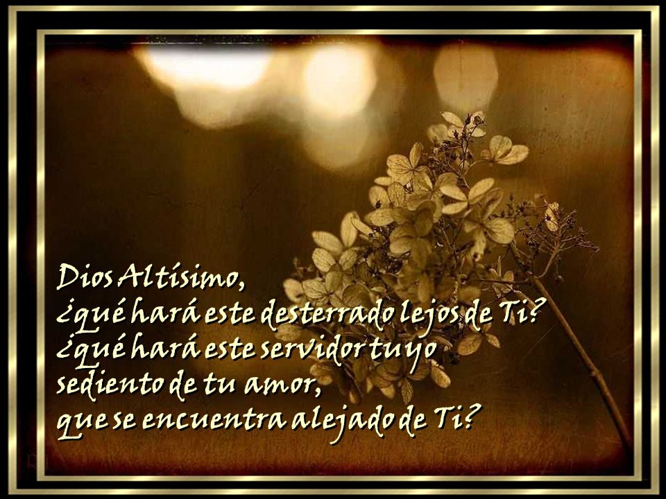 Dios Altísimo, ¿qué hará este desterrado lejos de Ti ¿qué hará este servidor tuyo. sediento de tu amor,