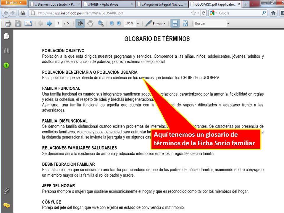 Aquí tenemos un glosario de términos de la Ficha Socio familiar