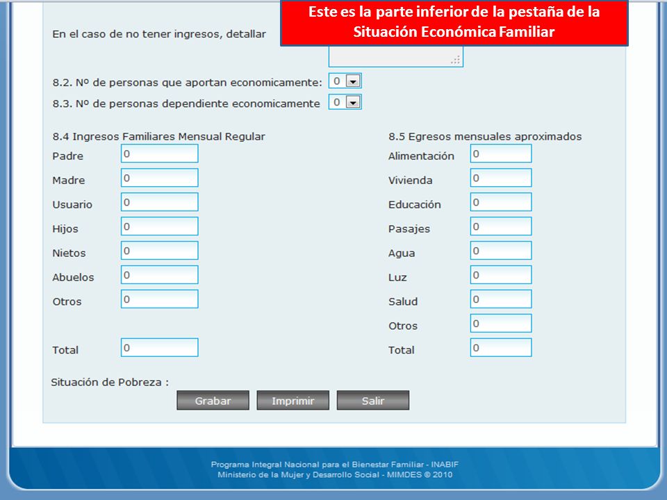 Este es la parte inferior de la pestaña de la Situación Económica Familiar