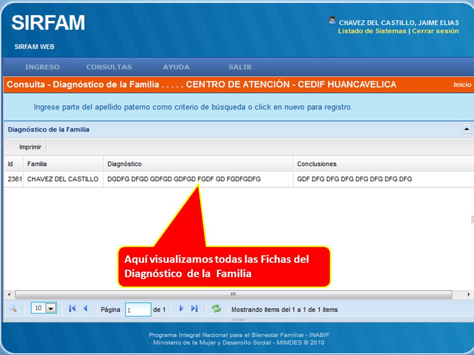 Aquí visualizamos todas las Fichas del Diagnóstico de la Familia
