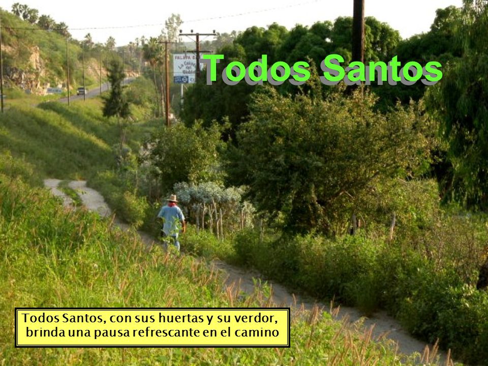 Todos Santos Todos Santos, con sus huertas y su verdor,