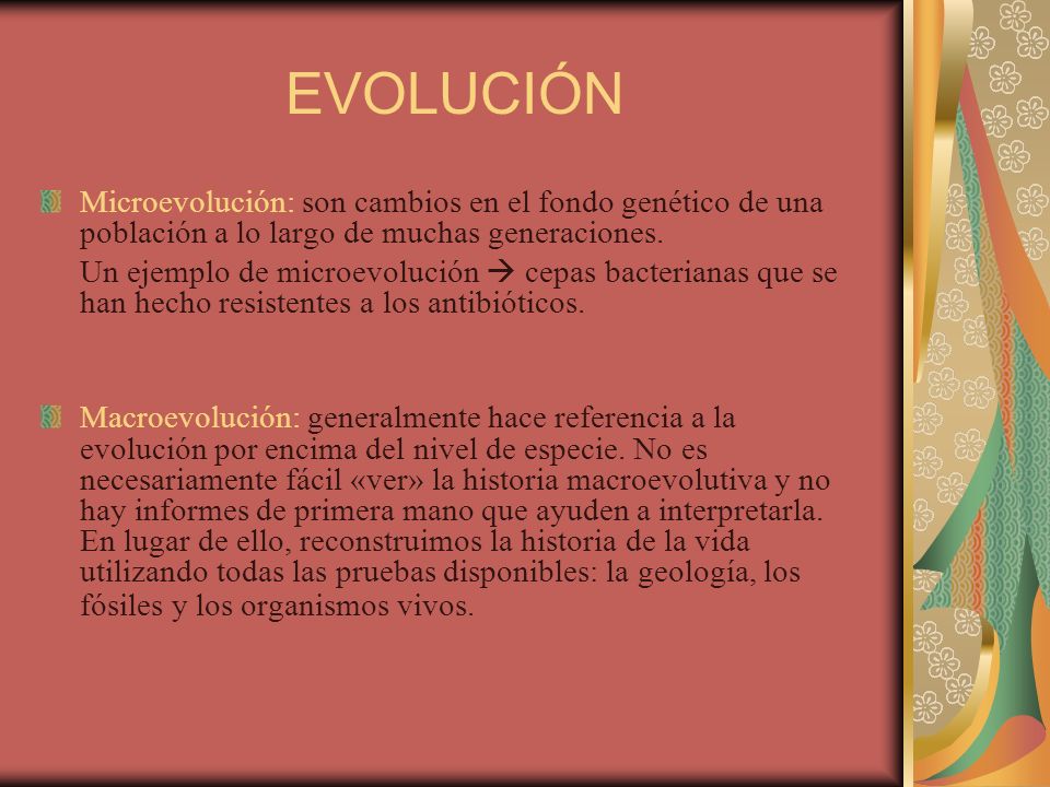 EVOLUCIÓN Microevolución: son cambios en el fondo genético de una población a lo largo de muchas generaciones.
