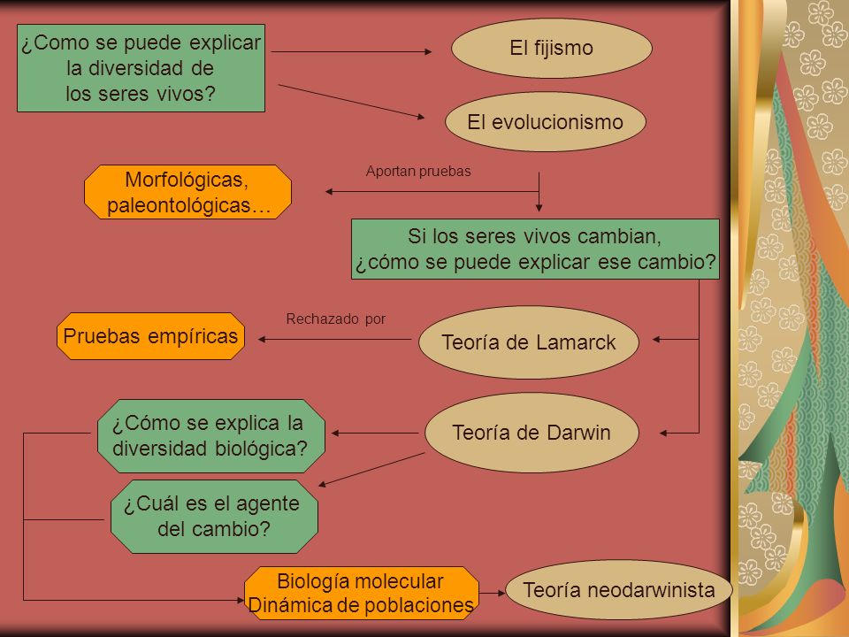 ¿Como se puede explicar la diversidad de los seres vivos