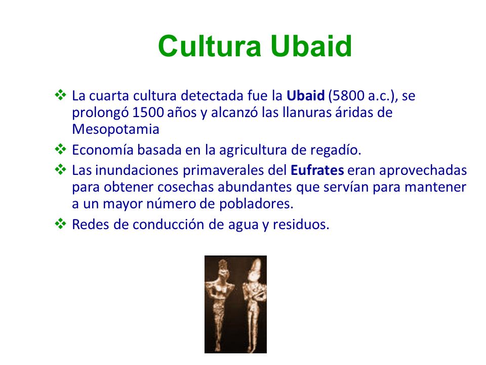 Cultura Ubaid La cuarta cultura detectada fue la Ubaid (5800 a.c.), se prolongó 1500 años y alcanzó las llanuras áridas de Mesopotamia.