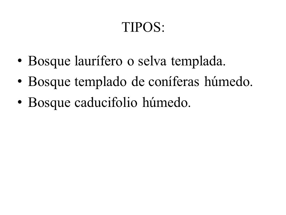 TIPOS: Bosque laurífero o selva templada. Bosque templado de coníferas húmedo.
