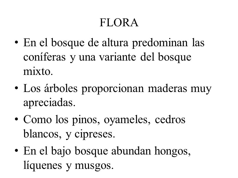 FLORA En el bosque de altura predominan las coníferas y una variante del bosque mixto. Los árboles proporcionan maderas muy apreciadas.