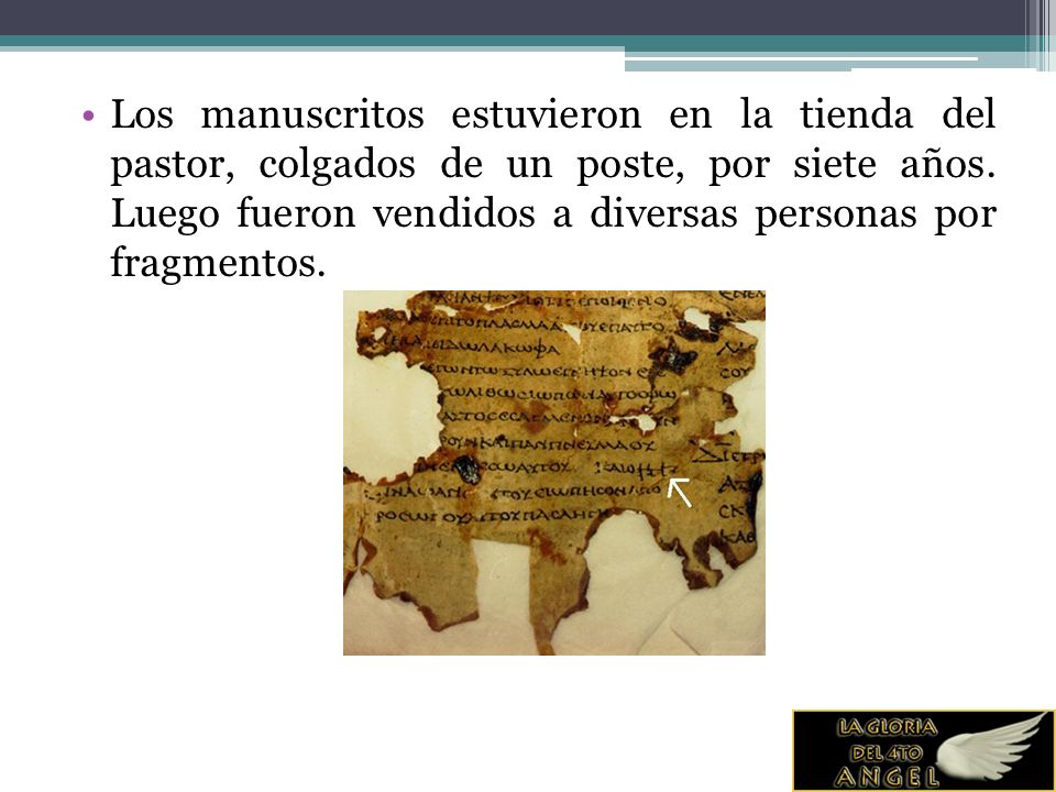 Los manuscritos estuvieron en la tienda del pastor, colgados de un poste, por siete años.