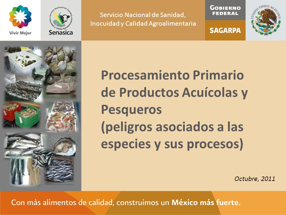 Procesamiento Primario de Productos Acuícolas y Pesqueros