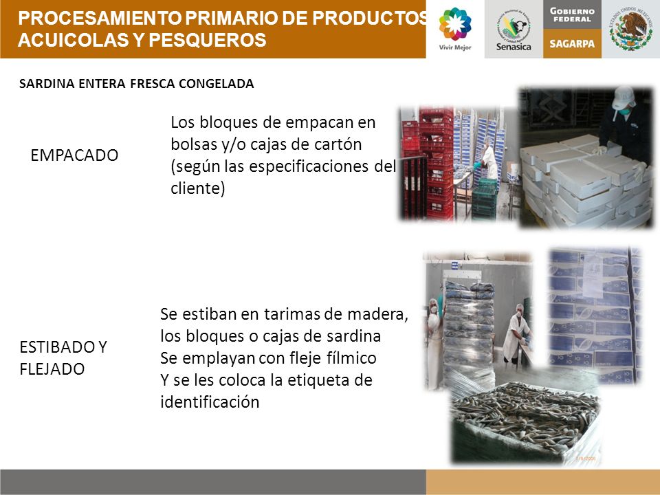 PROCESAMIENTO PRIMARIO DE PRODUCTOS ACUICOLAS Y PESQUEROS