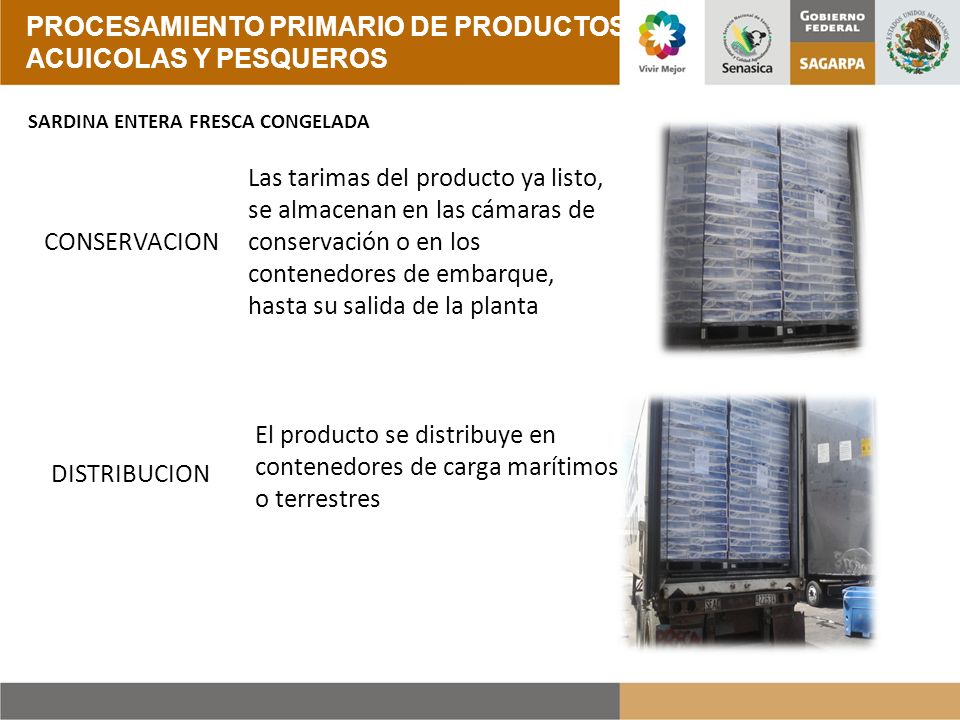 PROCESAMIENTO PRIMARIO DE PRODUCTOS ACUICOLAS Y PESQUEROS