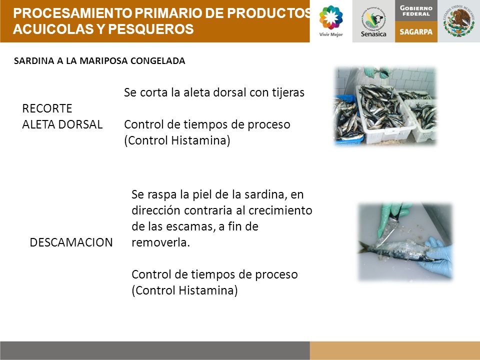 PROCESAMIENTO PRIMARIO DE PRODUCTOS ACUICOLAS Y PESQUEROS