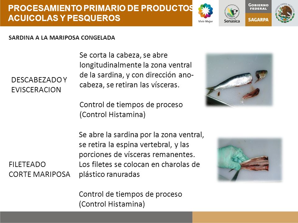 PROCESAMIENTO PRIMARIO DE PRODUCTOS ACUICOLAS Y PESQUEROS
