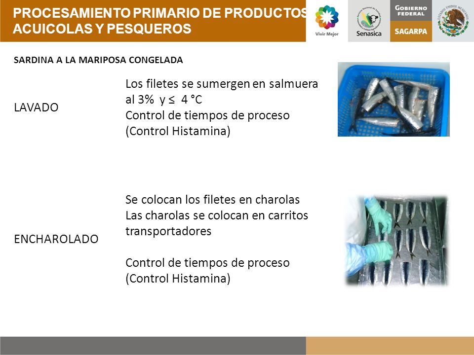 PROCESAMIENTO PRIMARIO DE PRODUCTOS ACUICOLAS Y PESQUEROS