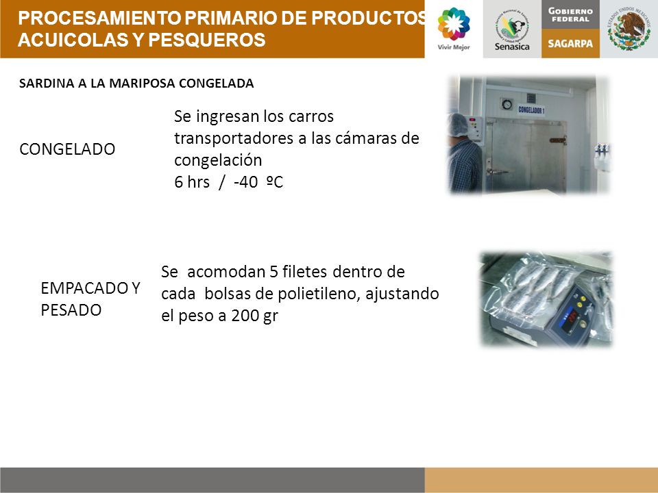 PROCESAMIENTO PRIMARIO DE PRODUCTOS ACUICOLAS Y PESQUEROS