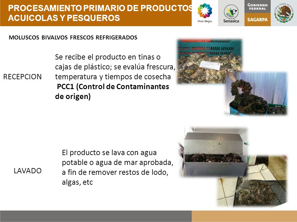 PROCESAMIENTO PRIMARIO DE PRODUCTOS ACUICOLAS Y PESQUEROS