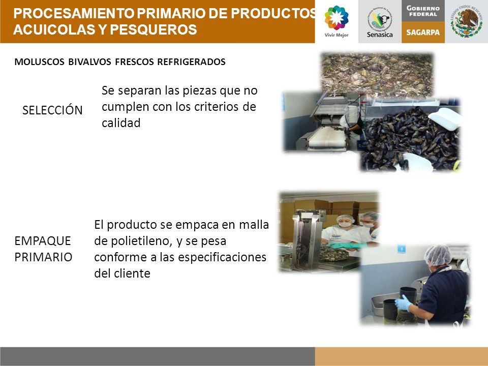 PROCESAMIENTO PRIMARIO DE PRODUCTOS ACUICOLAS Y PESQUEROS
