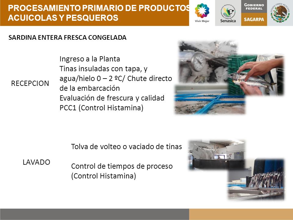 PROCESAMIENTO PRIMARIO DE PRODUCTOS ACUICOLAS Y PESQUEROS