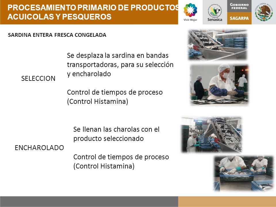 PROCESAMIENTO PRIMARIO DE PRODUCTOS ACUICOLAS Y PESQUEROS