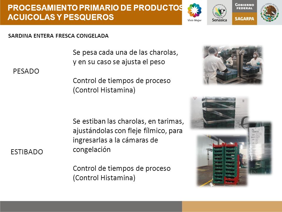 PROCESAMIENTO PRIMARIO DE PRODUCTOS ACUICOLAS Y PESQUEROS